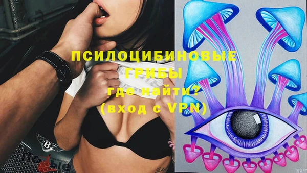 гидра Пролетарск